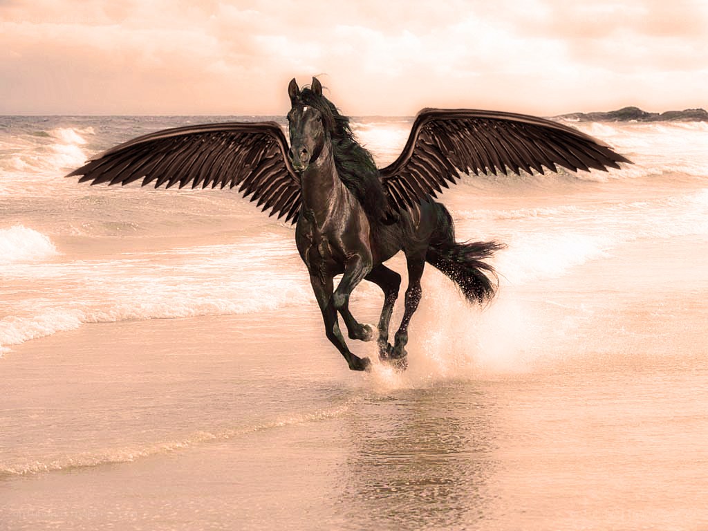 Pegasus running on beach
