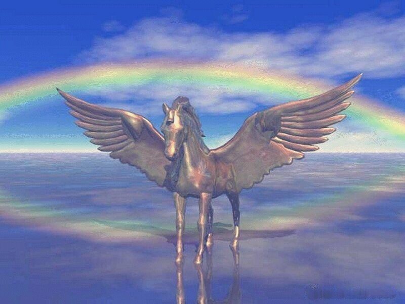 Pegasus with rainbow backdrop