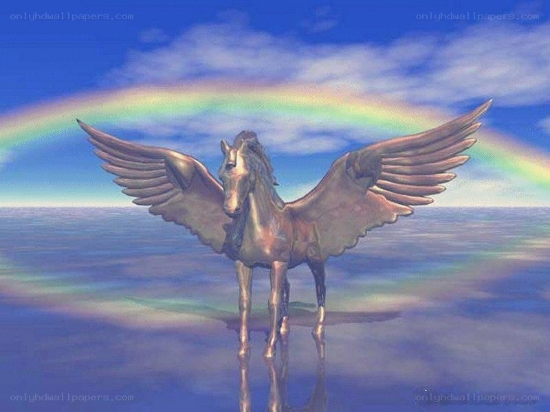 Pegasus with rainbow backdrop