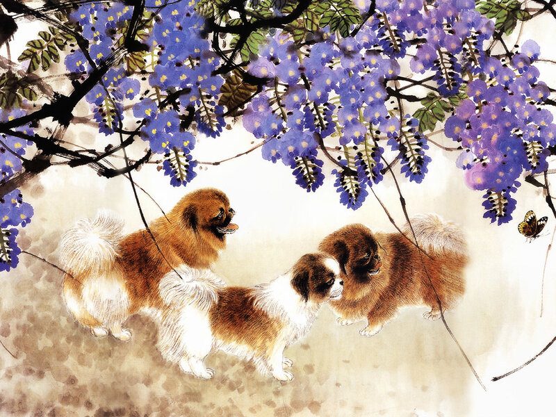 Pekingese dogs under wisteria