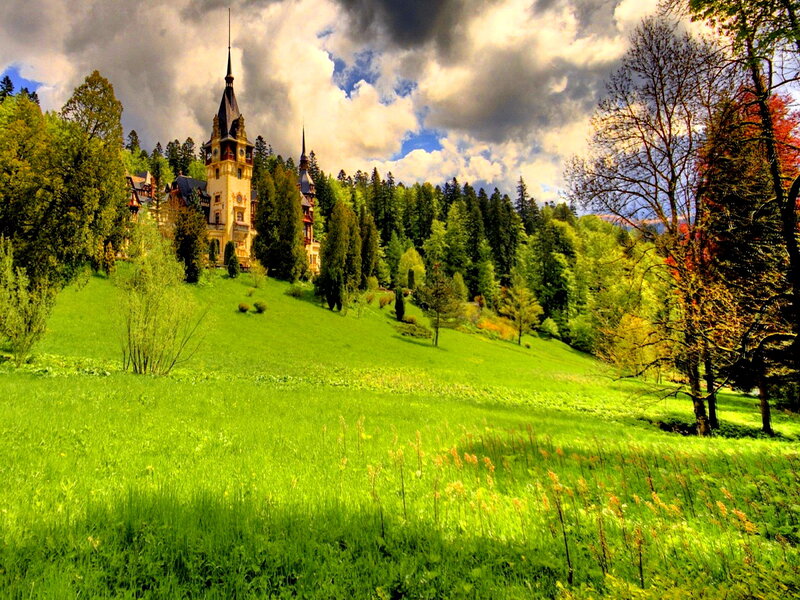 Peleș Castle in Forest — Green