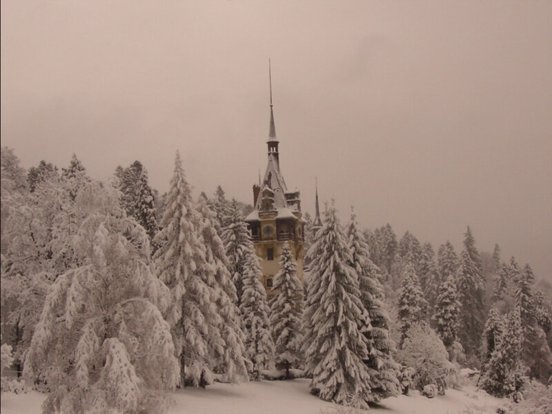 Peleș Castle in Snow — White