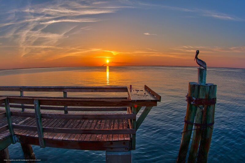 Pelican on a dock at sunset