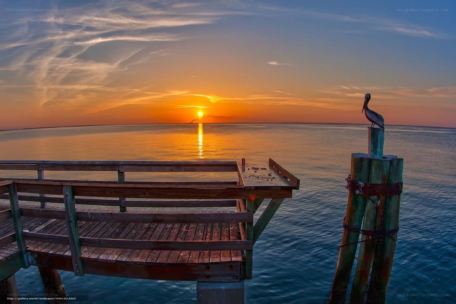 Pelican on a dock at sunset