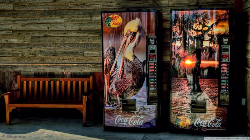 Pelican on Vending Machine