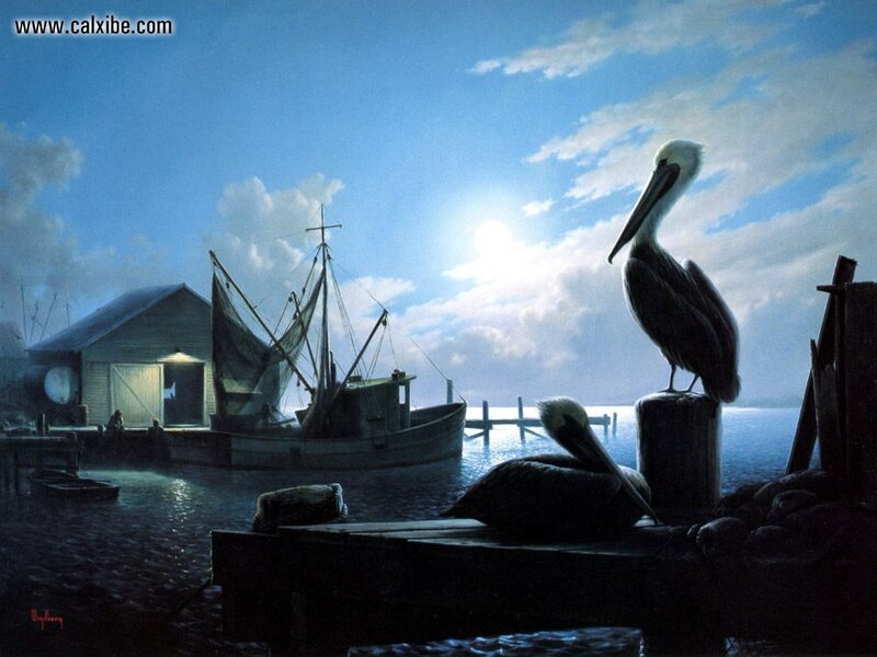 Pelicans at a fishing dock