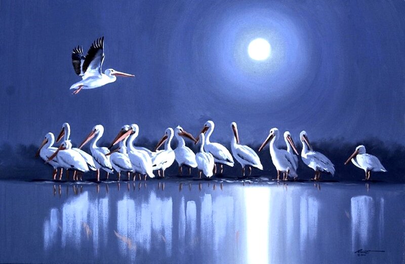 Pelicans at Night
