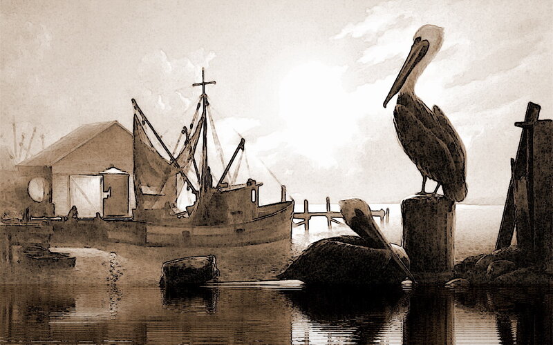 Pelicans on a Dock