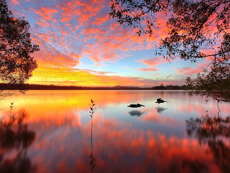 Pelicans on Lake — Orange, Serene, Sunset