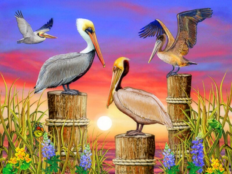 Pelicans on Posts — Blue, Serene