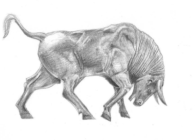pencil drawing of a bull