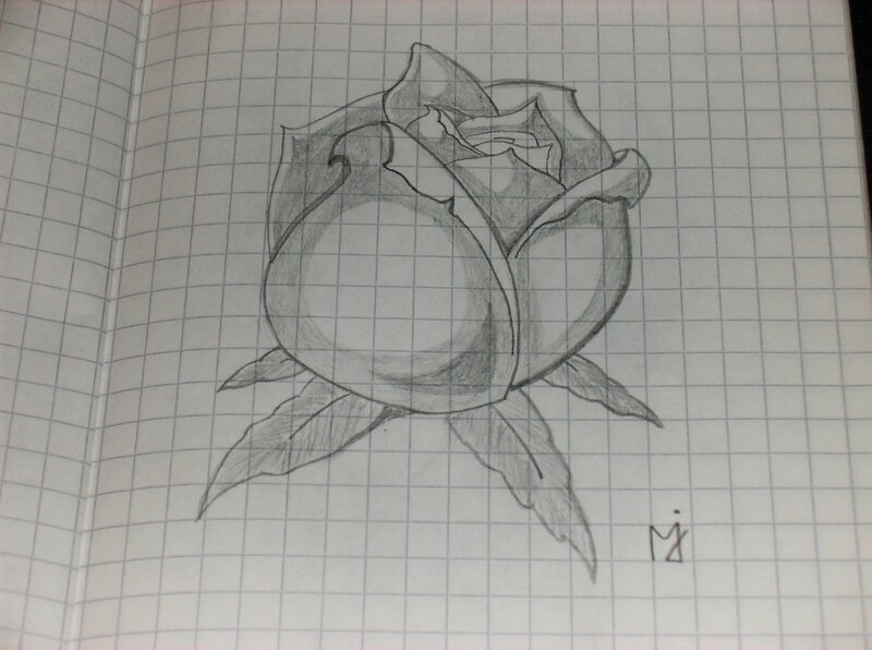 pencil drawing of a rose