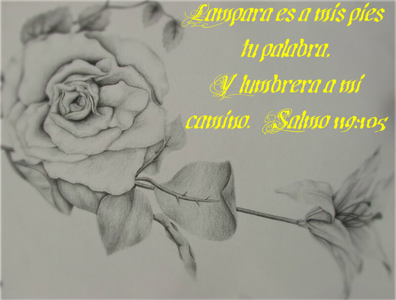 Pencil Drawing of a Rose — Gray