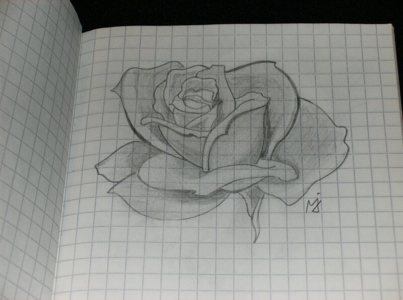 pencil drawing of a rose