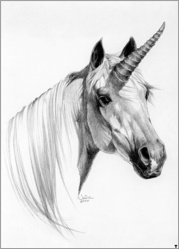 Pencil drawing of a unicorn