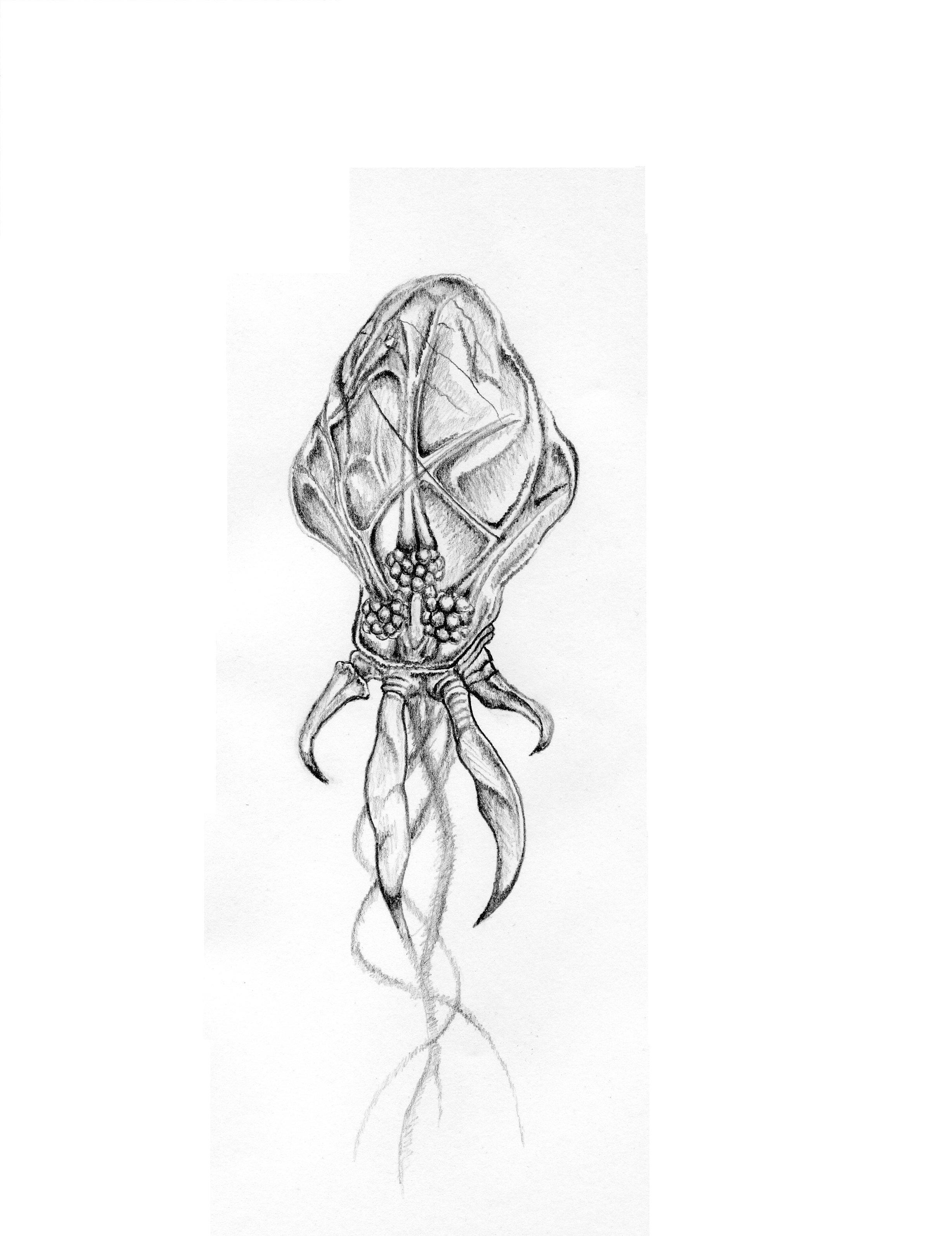 pencil drawing of alien creature