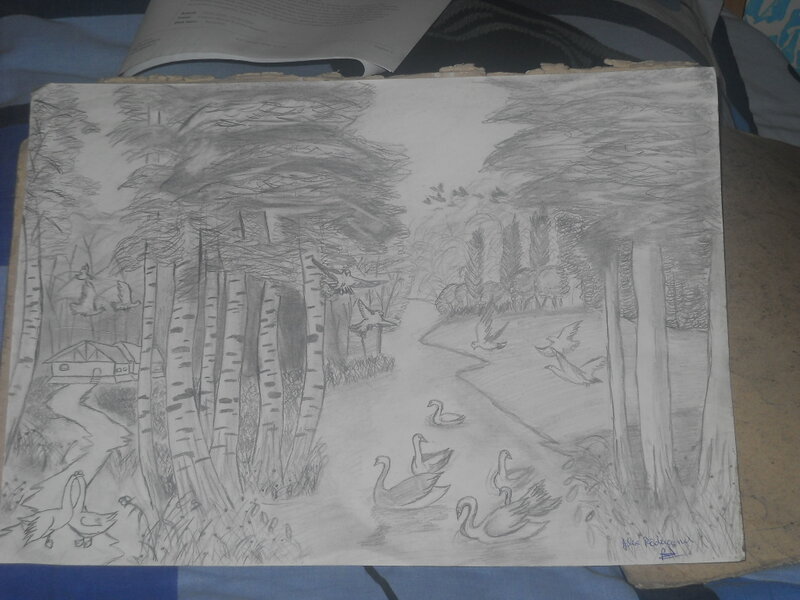 Pencil Drawing of Forest