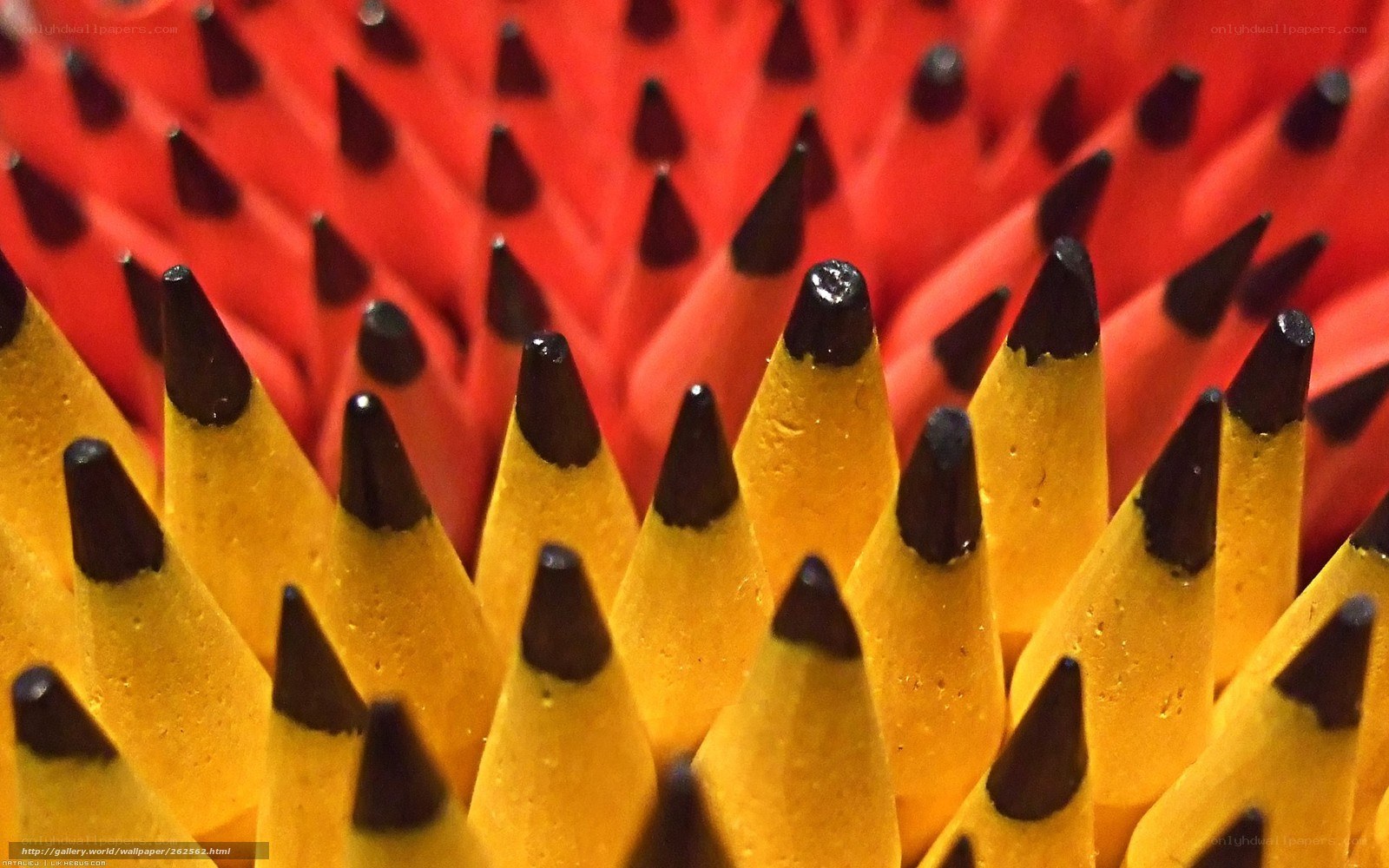 Pencil tip arrangement