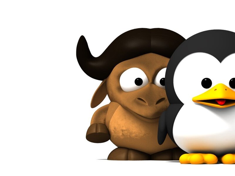 Penguin and Buffalo