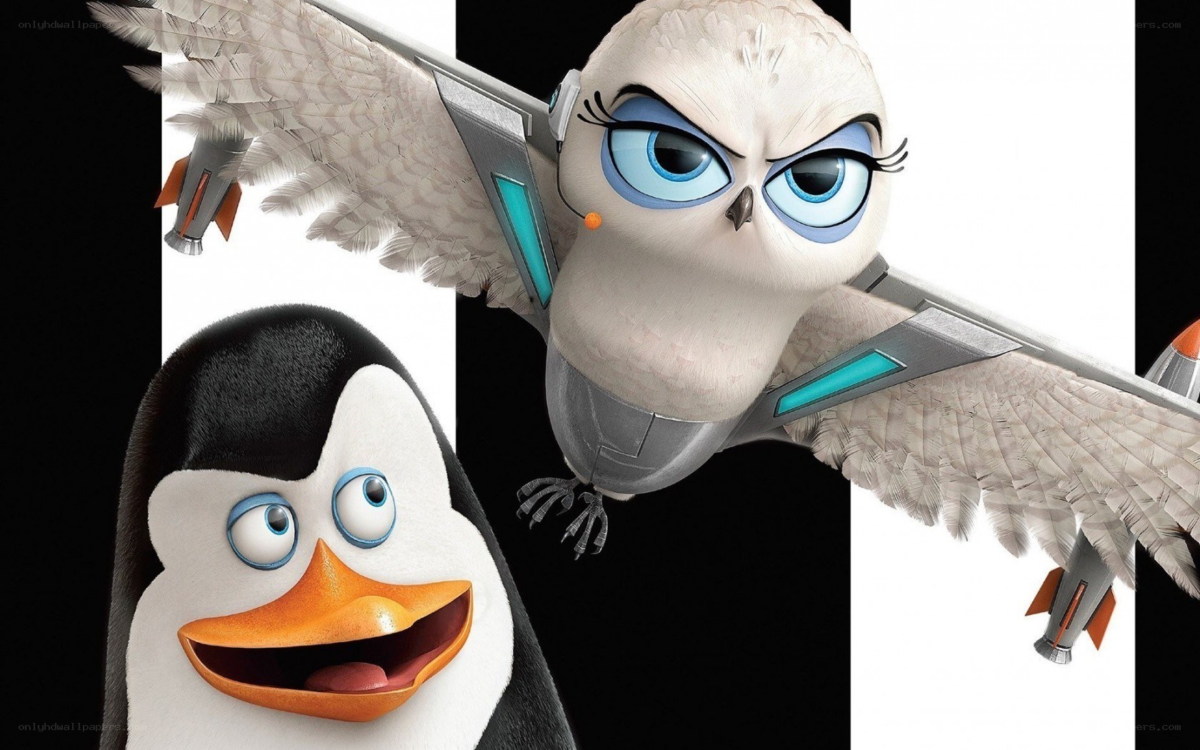Penguin and Owl Characters