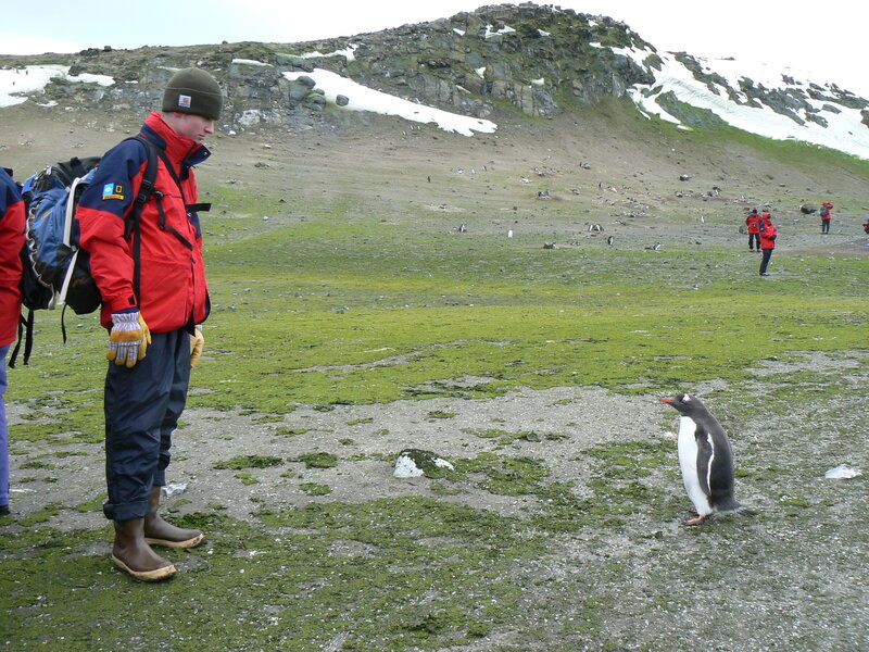 Penguin and Tourist