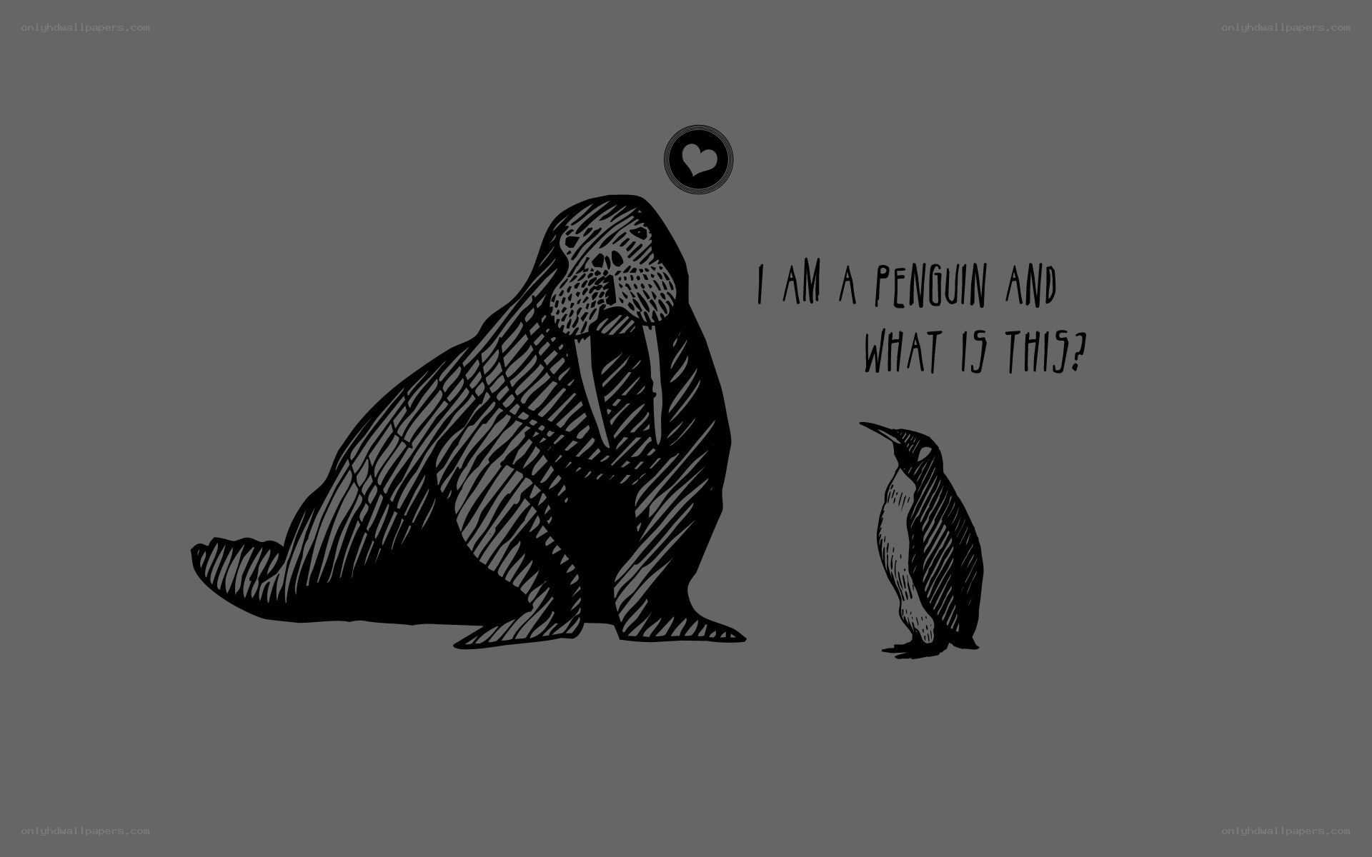 penguin and walrus illustration