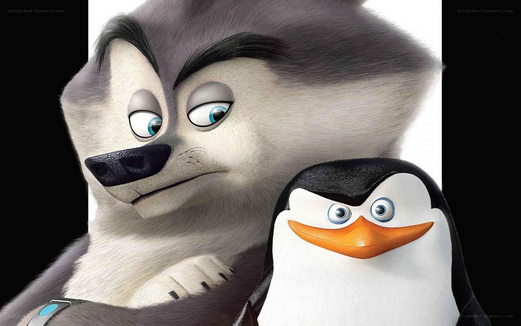 Penguin and wolf characters
