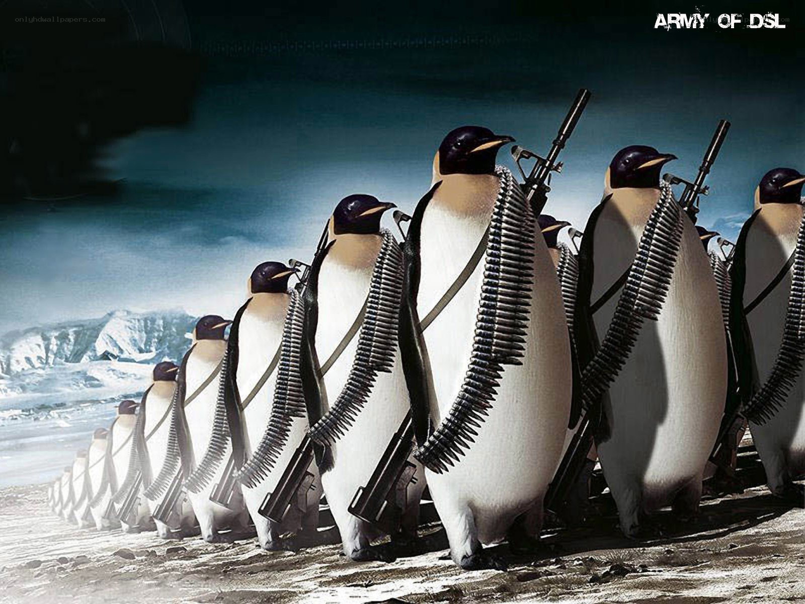 penguin army march