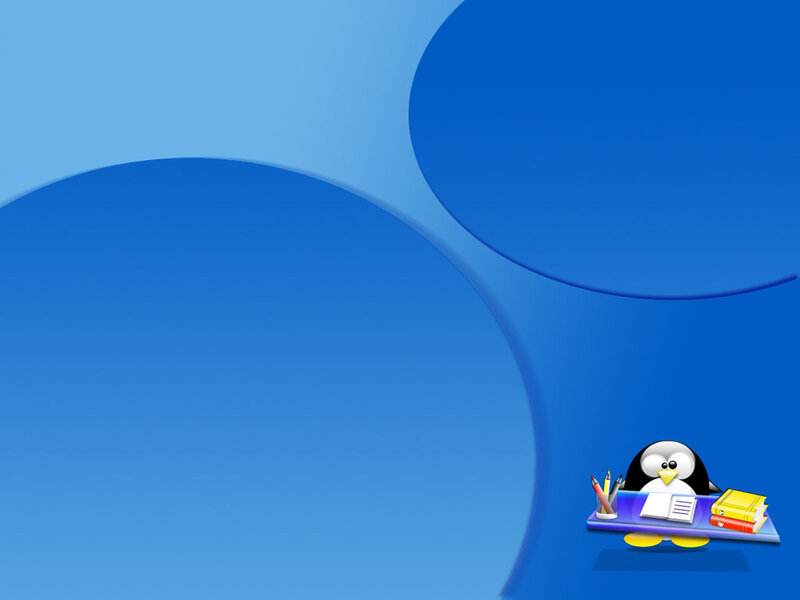 penguin at a desk on blue background