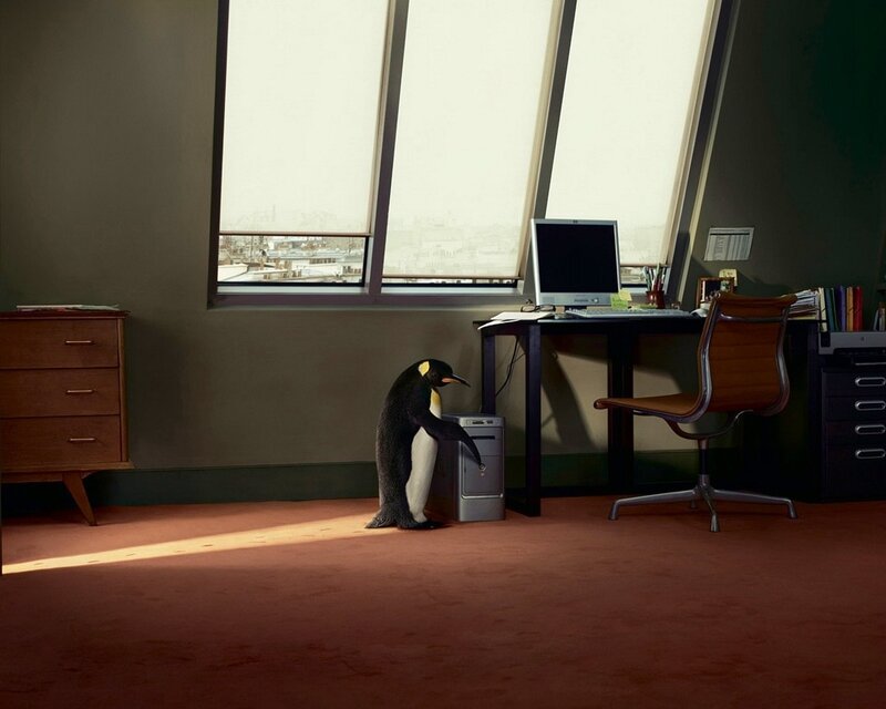 Penguin at Computer Desk