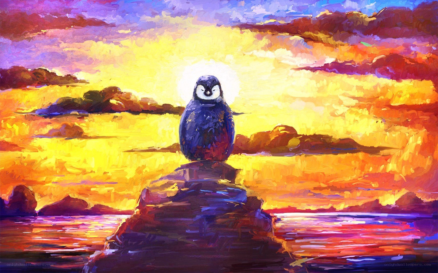 Penguin at sunset on a rock