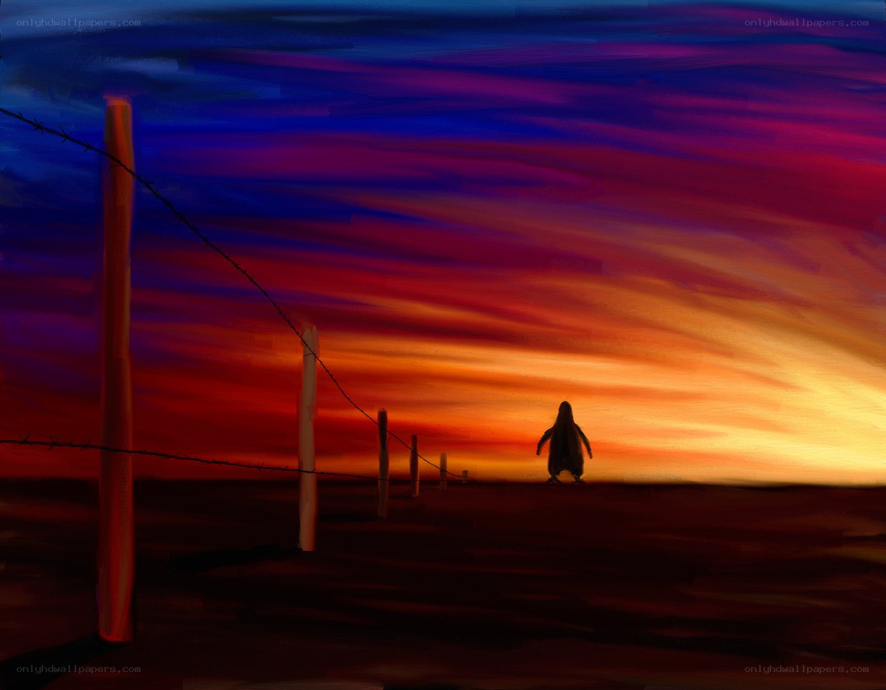 Penguin at sunset