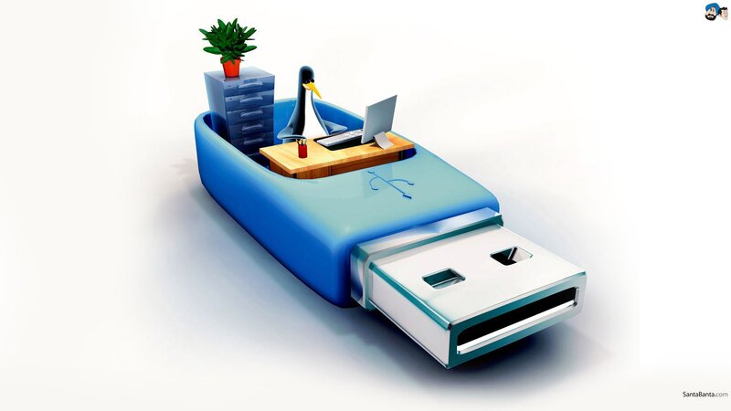 Penguin at USB Desk