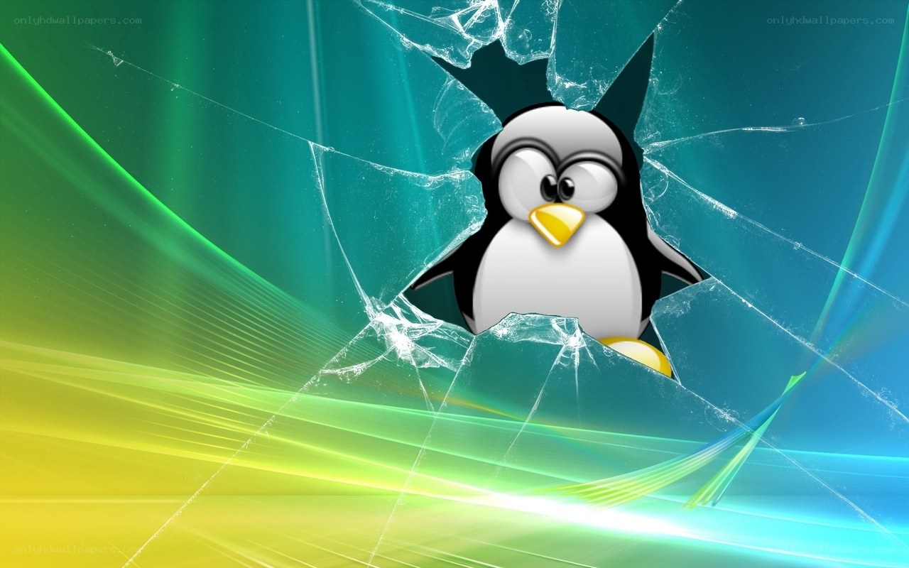 Penguin breaking through glass