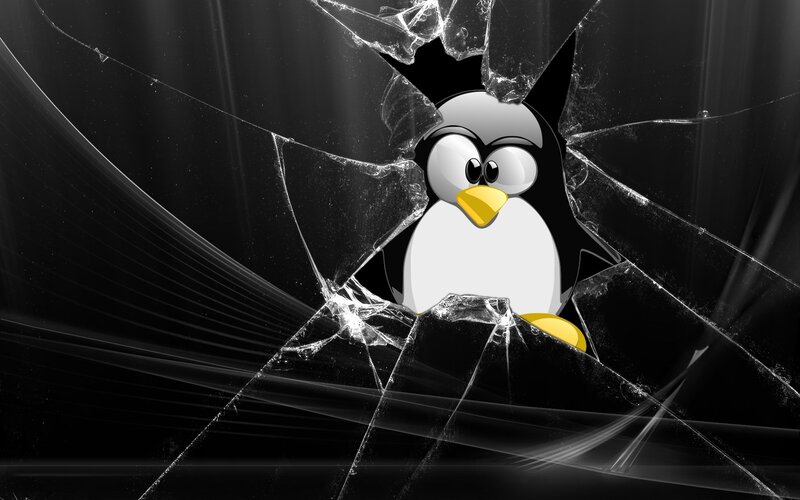 Penguin breaking through glass