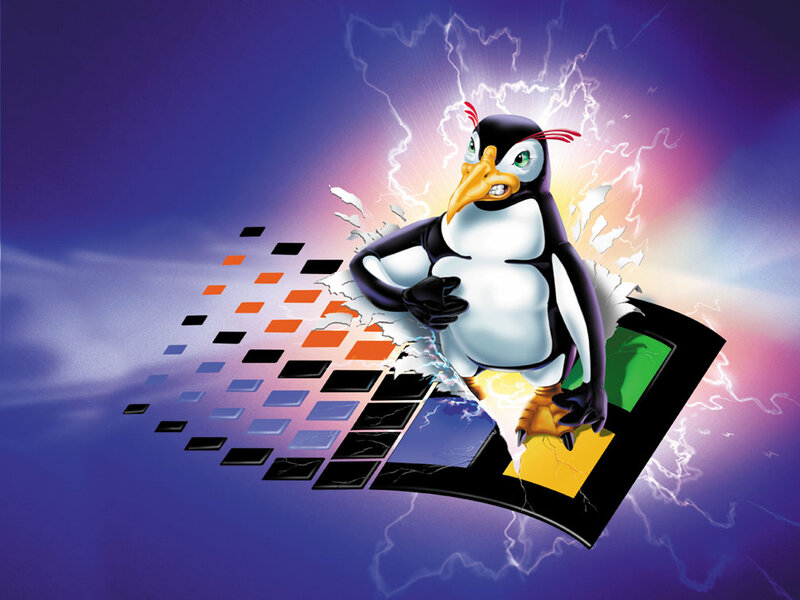 Penguin breaking through screen