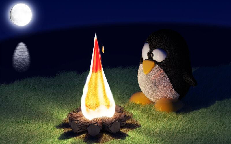 penguin by campfire at night