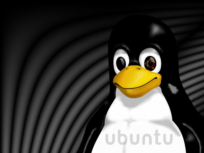 Penguin Character — Black, Neutral, 3d Render