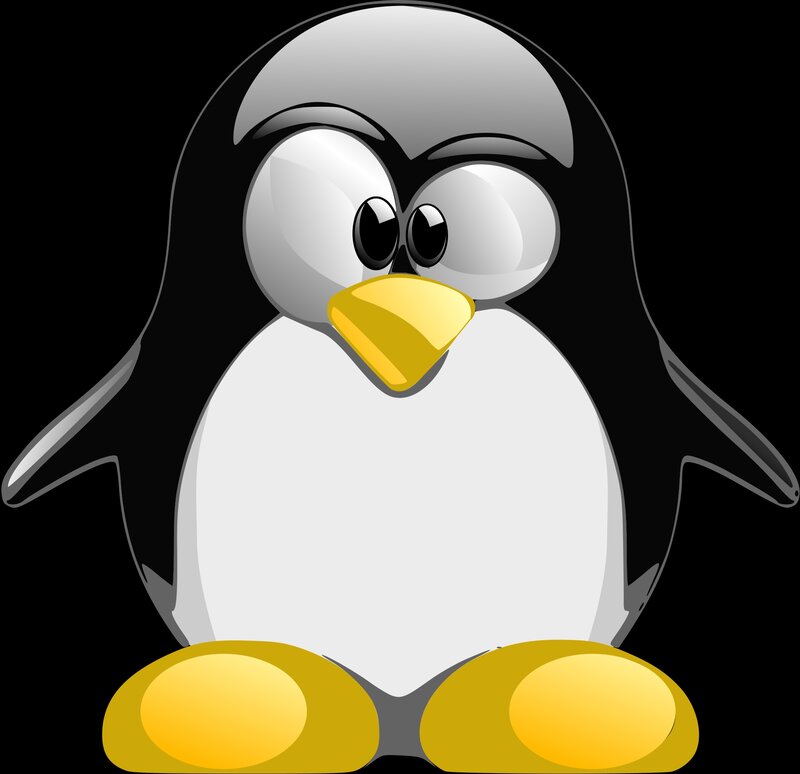 Penguin Character — Black