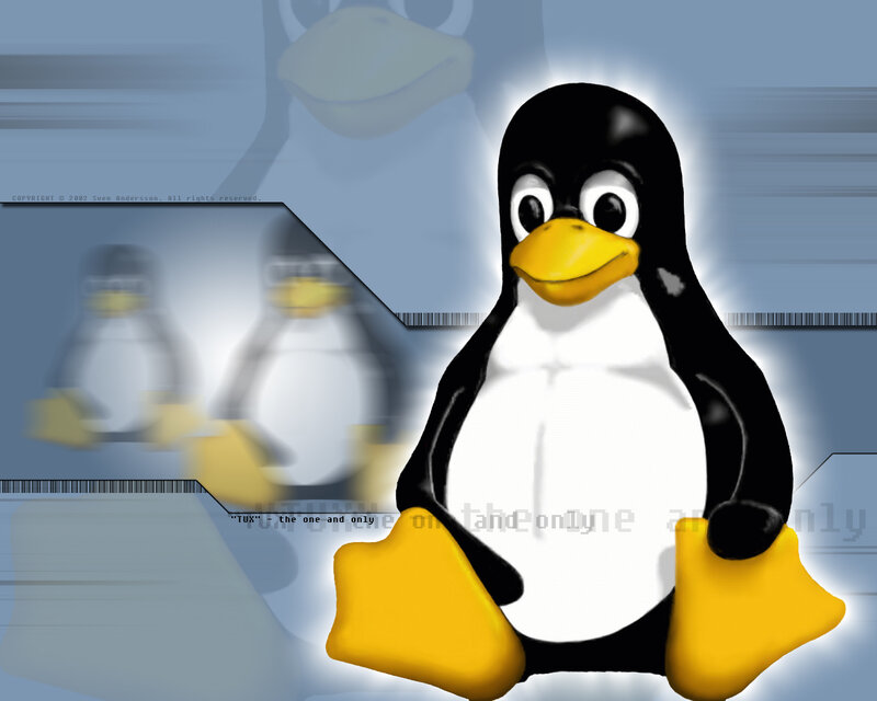Penguin Character — Blue, Friendly