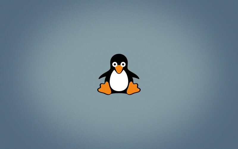 Penguin Character — Blue, Neutral, Vector Art