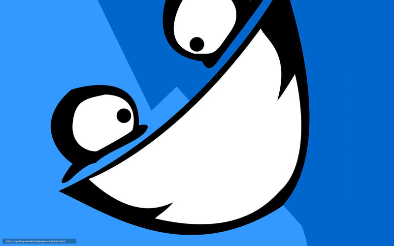 Penguin Character Face