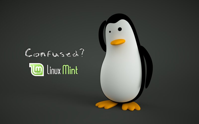 Penguin Character — Gray, Neutral