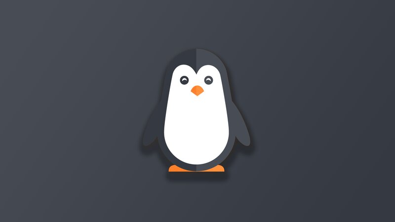 Penguin Character — Gray, Neutral, Vector Art, Eyes