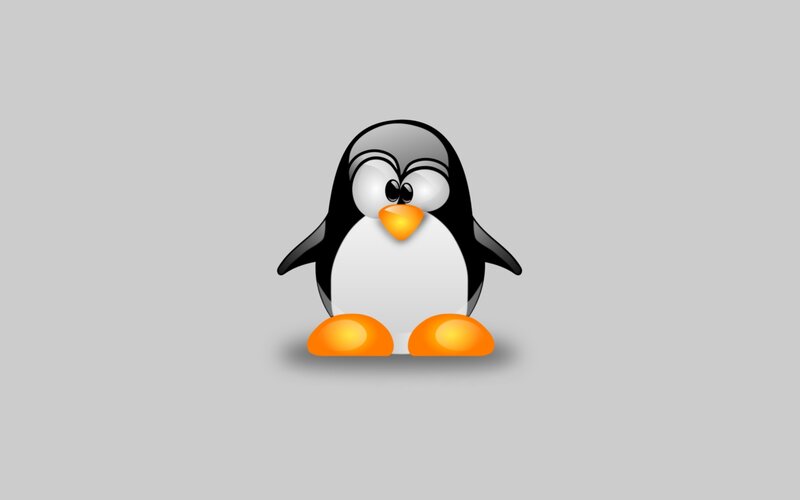 Penguin Character — Gray
