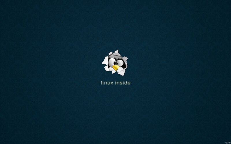 Penguin Character Logo