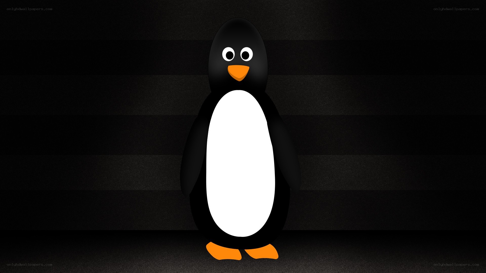 penguin character on dark background