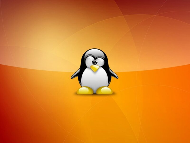 Penguin Character — Orange