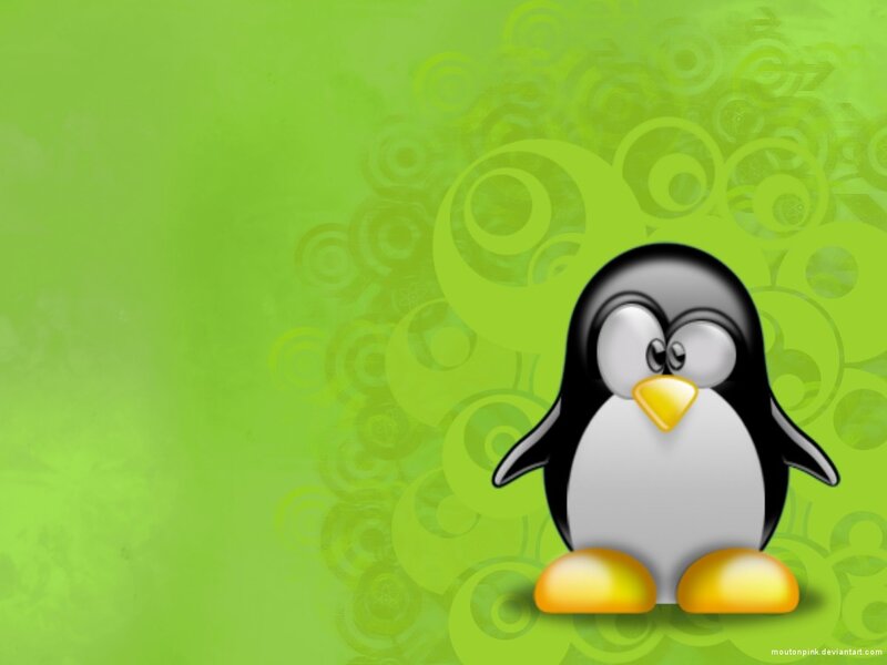 Penguin Character