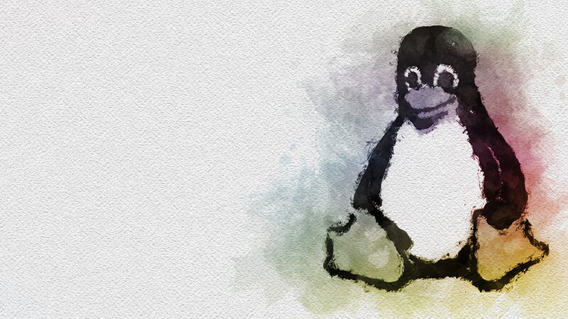Penguin Character — White, Calm